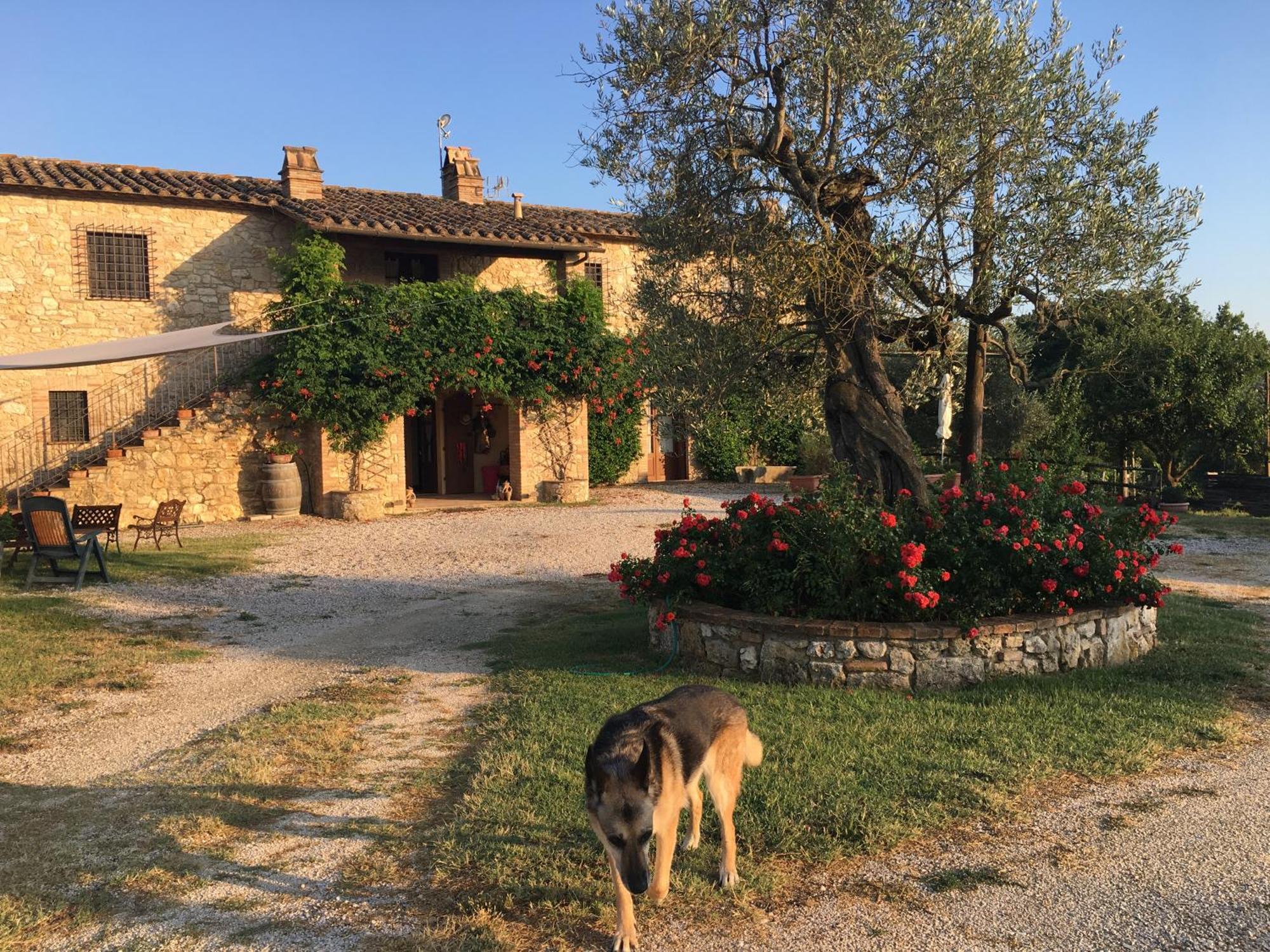 Agriturismo Podere Dell' Olmo Amelia Eksteriør bilde