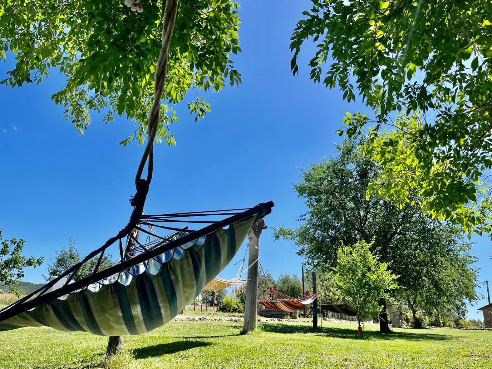 Agriturismo Podere Dell' Olmo Amelia Eksteriør bilde