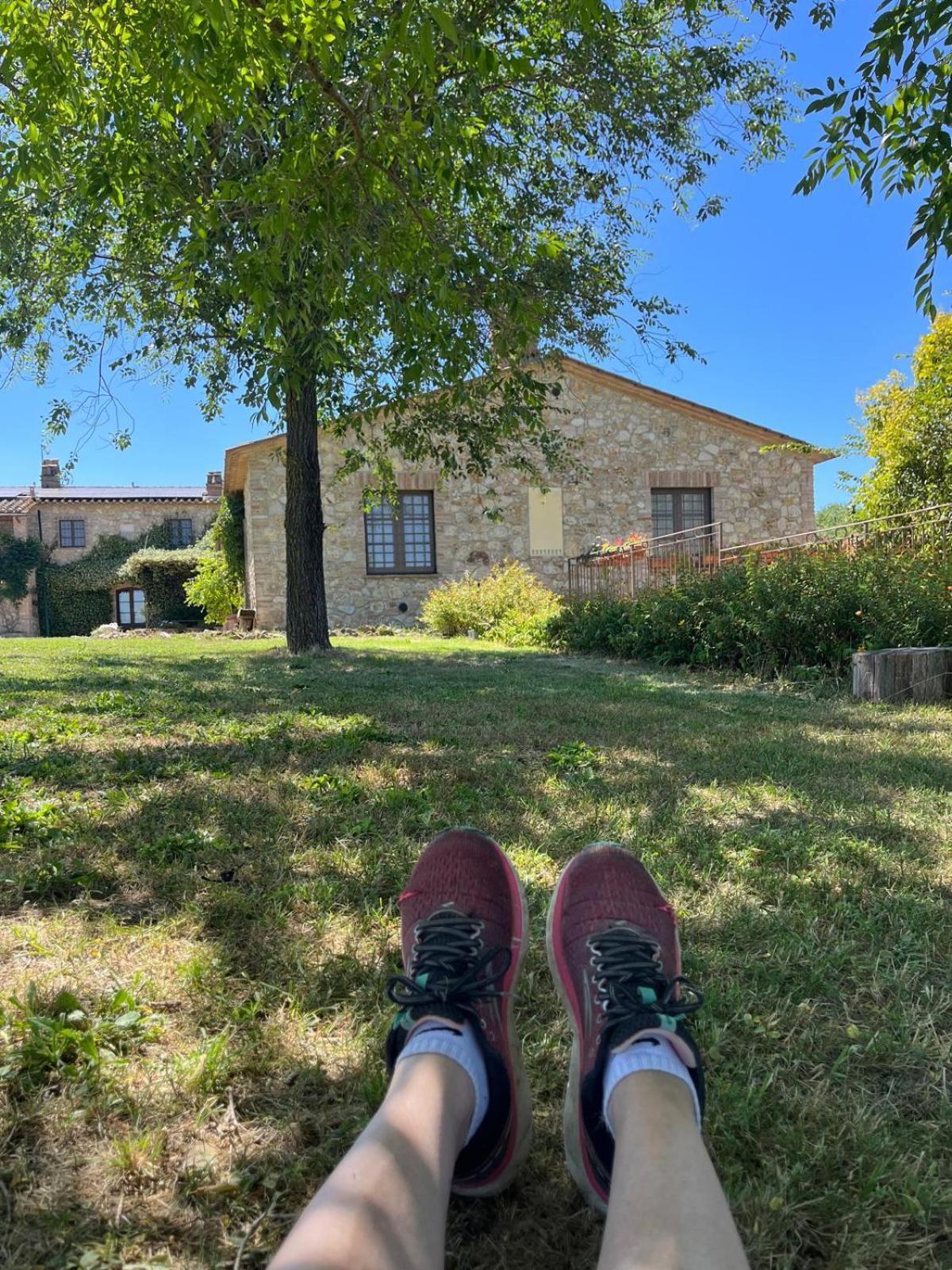 Agriturismo Podere Dell' Olmo Amelia Eksteriør bilde