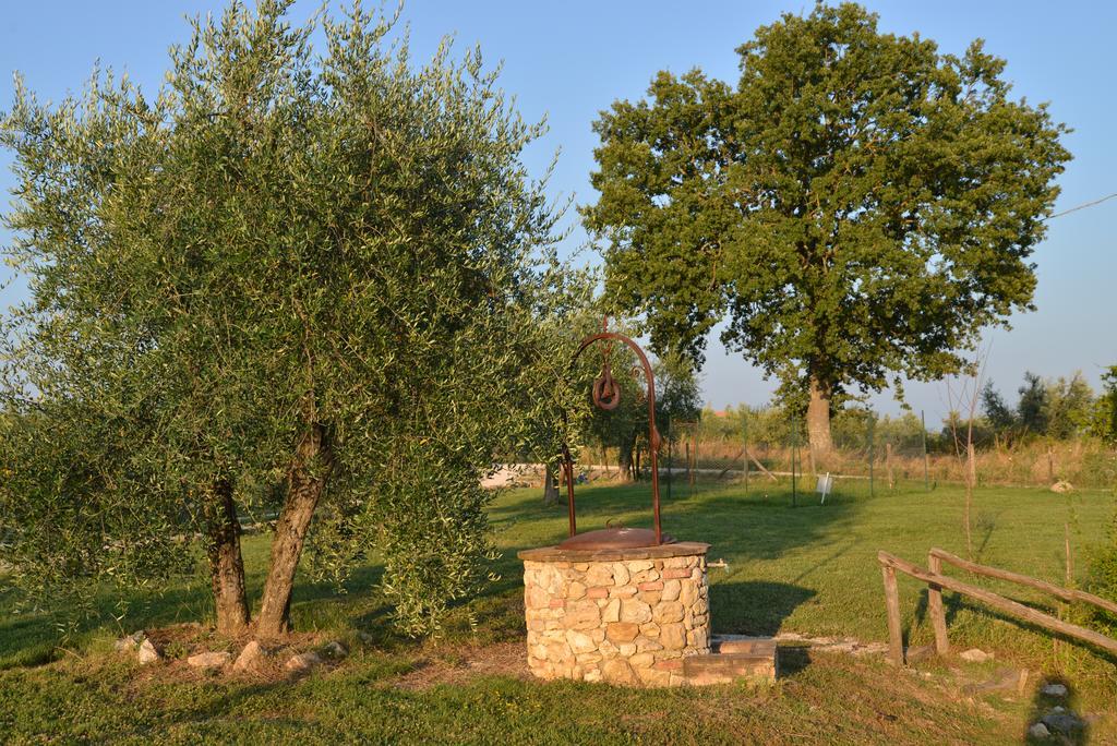 Agriturismo Podere Dell' Olmo Amelia Eksteriør bilde