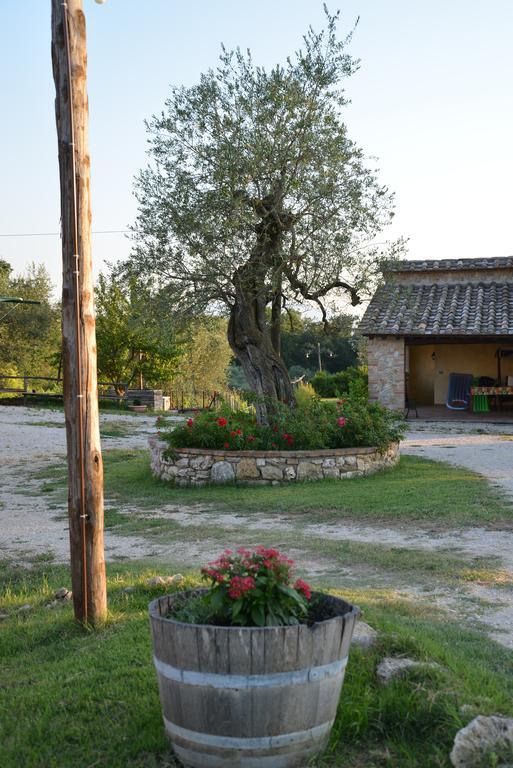 Agriturismo Podere Dell' Olmo Amelia Eksteriør bilde
