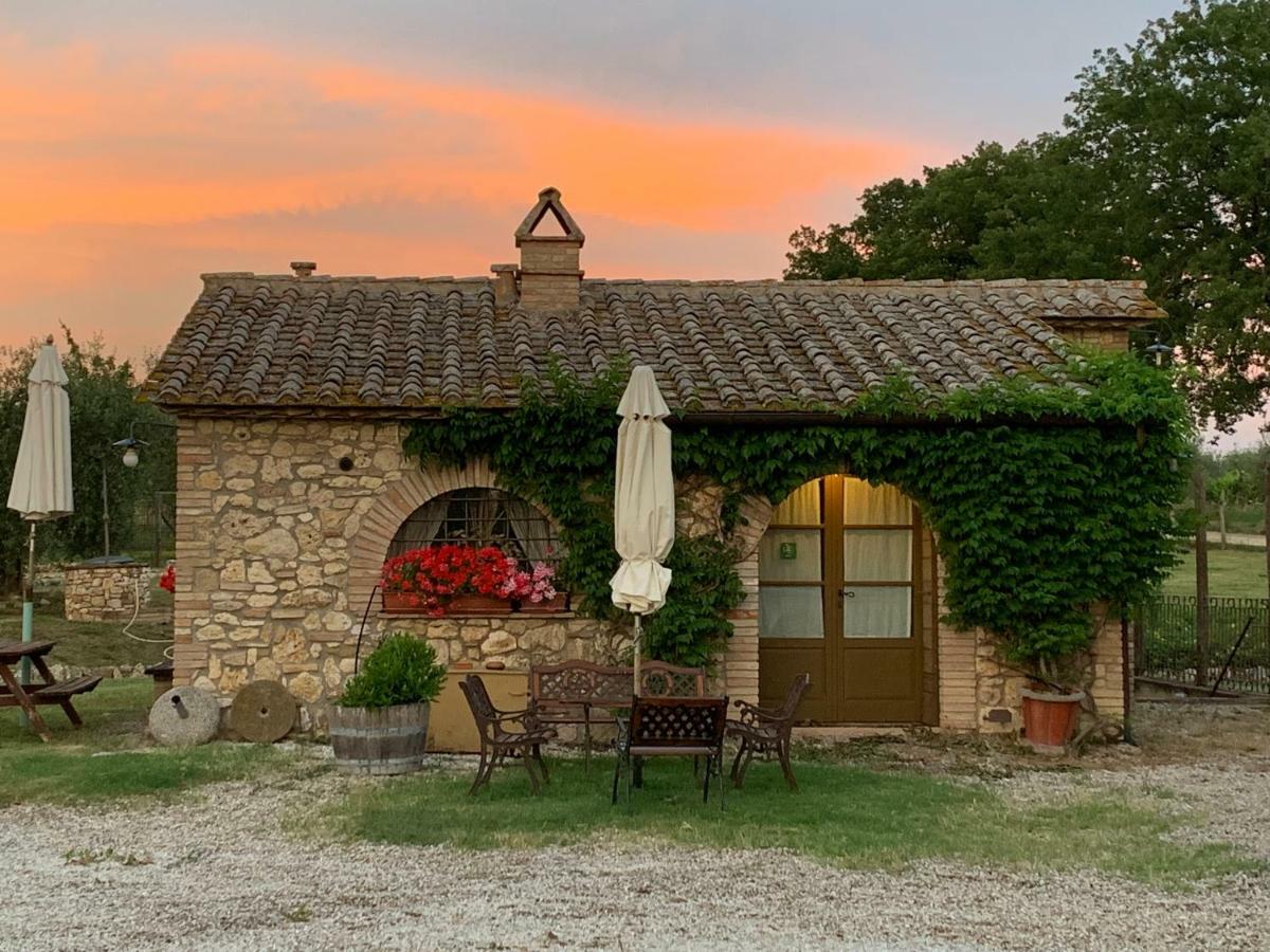 Agriturismo Podere Dell' Olmo Amelia Eksteriør bilde